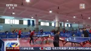 乒乓球台比较小